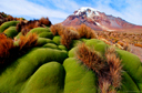 ﻿Nevado Sajama, Bolivia