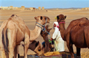 Sahara, Marruecos