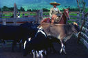Jalisco, Mexico